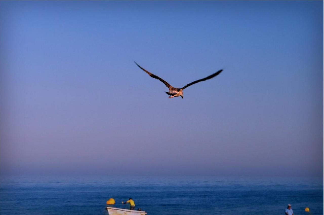 Vila Marachique Alvor Dış mekan fotoğraf